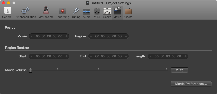 Figure. Movie settings.