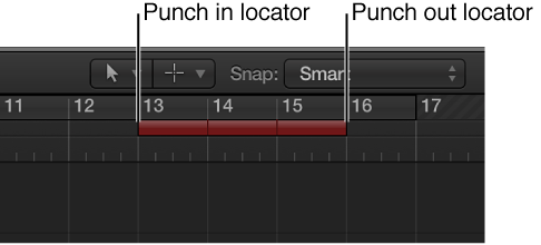 Figure. Showing the autopunch area's punch in and out locators.