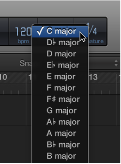 Figure. Key pop-up menu in the LCD.