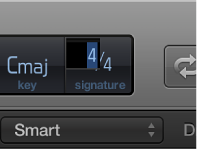 Figure. Time signature in the LCD selected, ready to enter a new value.