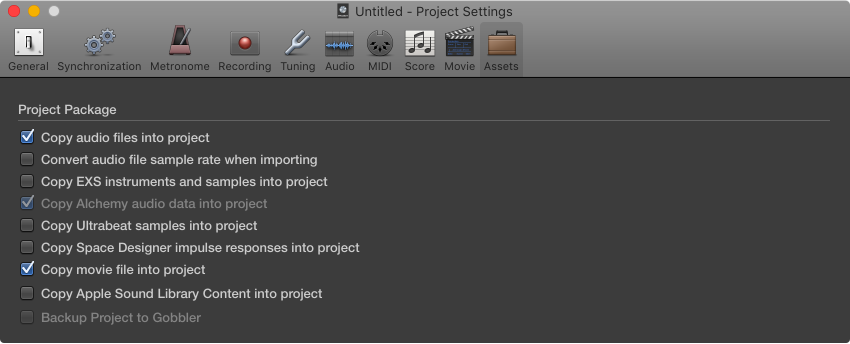 Figure. Assets project settings pane.