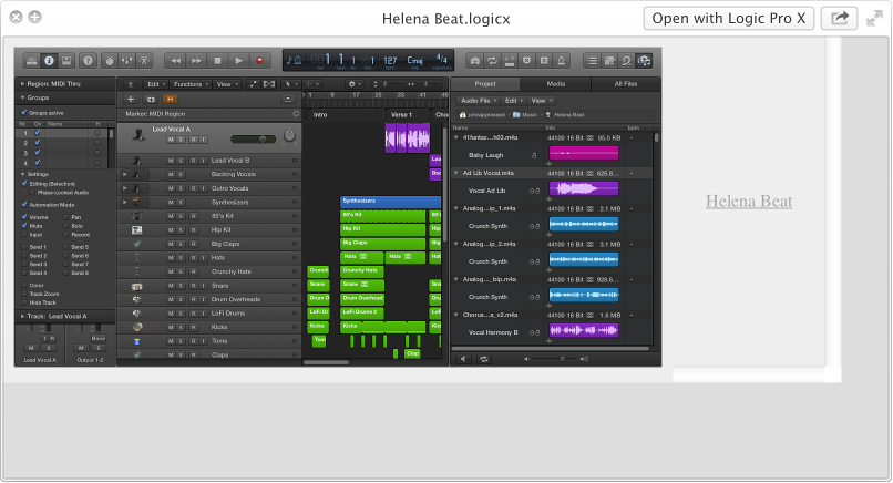 Figure. Quick Look image of a selected project file in the Finder.