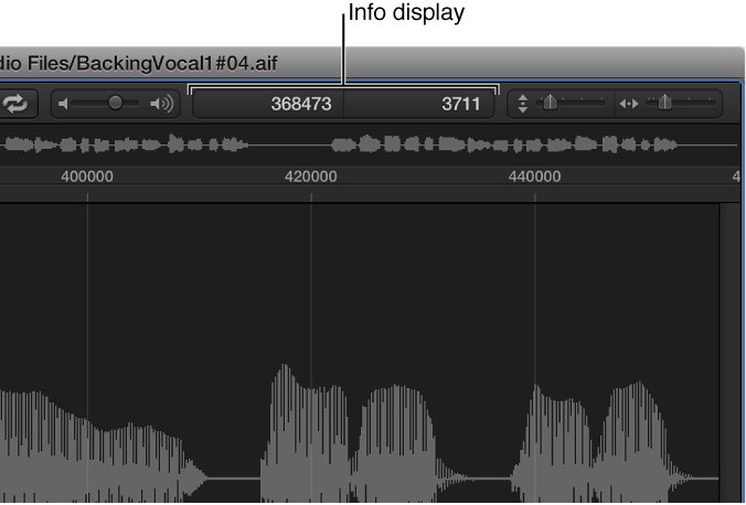 Figure. Info display in the Sample Editor.