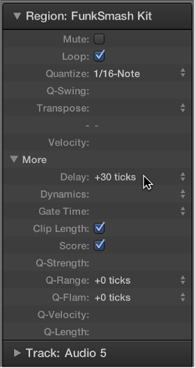 Figure. Delay parameter in the Region inspector.