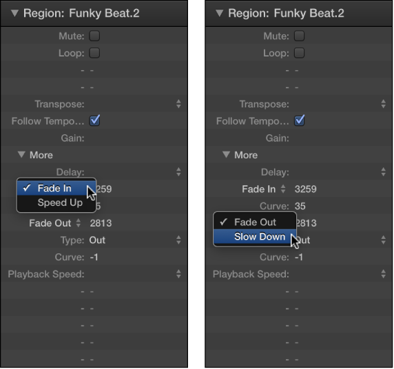 Figure. Speed Up and Slow Down parameters in the Region inspector.