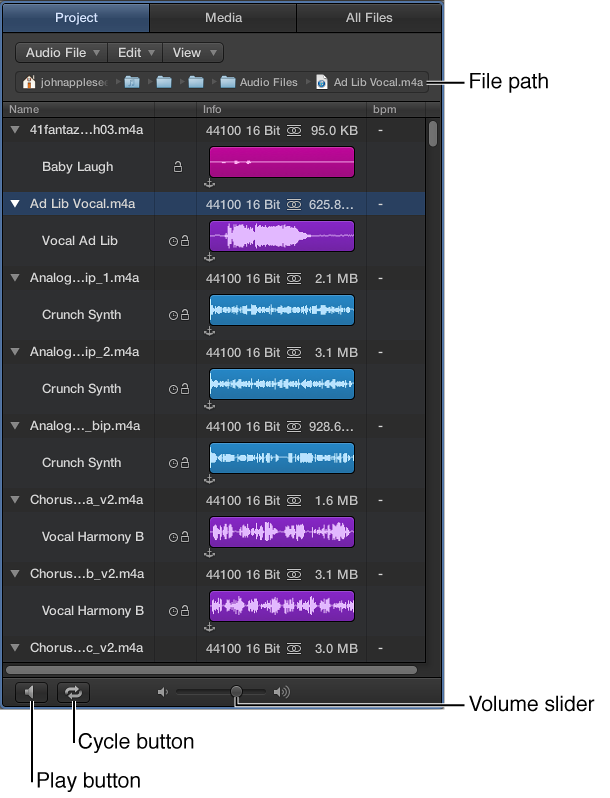 Figure. The Project Audio Browser.
