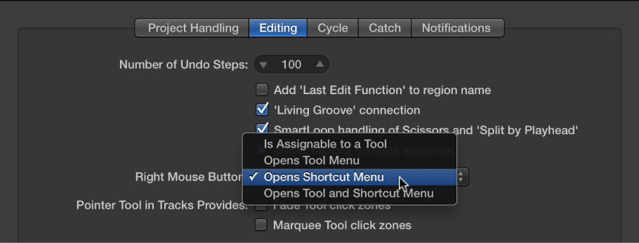 Figure. Right Mouse Button menu in the Editing pane in the General preferences.