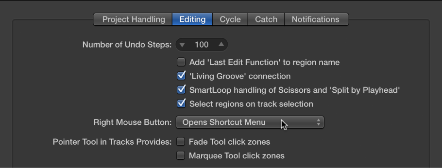 Figure. Pointer Tool checkboxes in the Editing pane in the General preferences.
