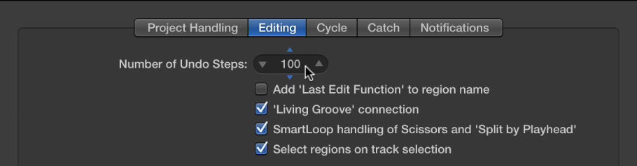 Figure. "Number of Undo Steps" field in the Editing pane in the General preferences.