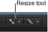 Figure. Resize tool.