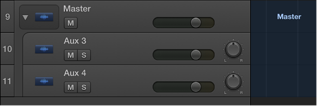 Figure. Master track open, showing aux subtracks.