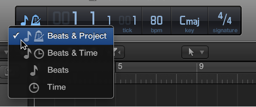 Figure. Selecting Beats & Project in the LCD to display project properties.