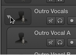 Figure. Clicking the disclosure triangle in the Track Stack header.