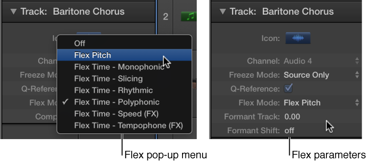 Figure. Track inspector showing Flex algorithms and parameters.