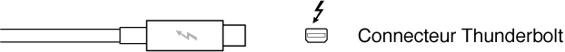 Figure. Connecteur Thunderbolt.