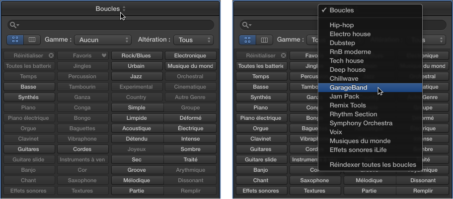 Figure. Menu local Boucles affichant les boucles disponibles.