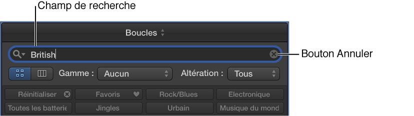 Figure. Champ de recherche dans le navigateur de boucles.