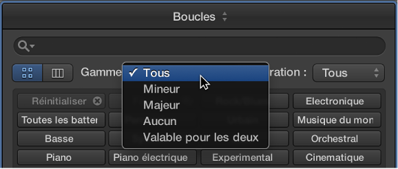 Figure. Menu local Gamme dans le navigateur de boucles.