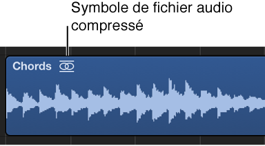 Figure. Région audio présentant un symbole de fichier audio compressé à droite de son nom.