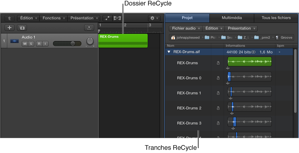 Figure. Dossier ReCycle dans la zone Pistes et tranches ReCycle dans le navigateur audio du projet.