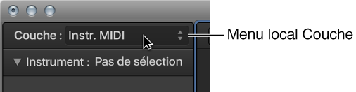 Figure. Menu local Couche affichant la couche active.