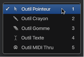 Figure. Menu Outil de la fenêtre Environnement.