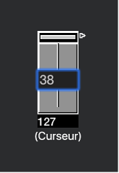 Figure. Illustration de la saisie d’une valeur sur un objet Curseur.