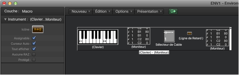 Figure. Fenêtre Environnement affichant un objet Macro et son inspecteur.