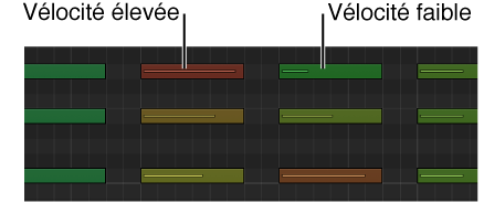 Figure. Différentes vélocités de note indiquées par des couleurs dans l’éditeur de clavier.