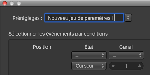Figure. Saisie d’un nom de jeu de transformations dans le menu Préréglages.