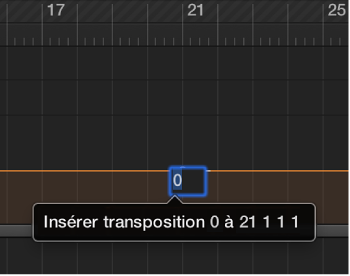 Figure. Piste de transposition avec entrée de transposition reprise dans le champ.