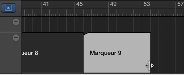 Figure. Piste des marqueurs avec marqueur en cours de redimensionnement.
