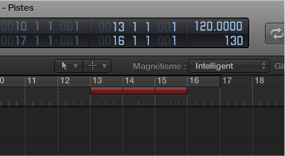 Figure. Champs de locator d’autopunch dans l’écran LCD.