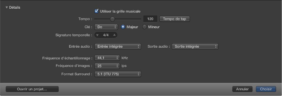 Figure. Détails repris dans la moitié inférieure du sélecteur de projet, pour le réglage des propriétés du projet.