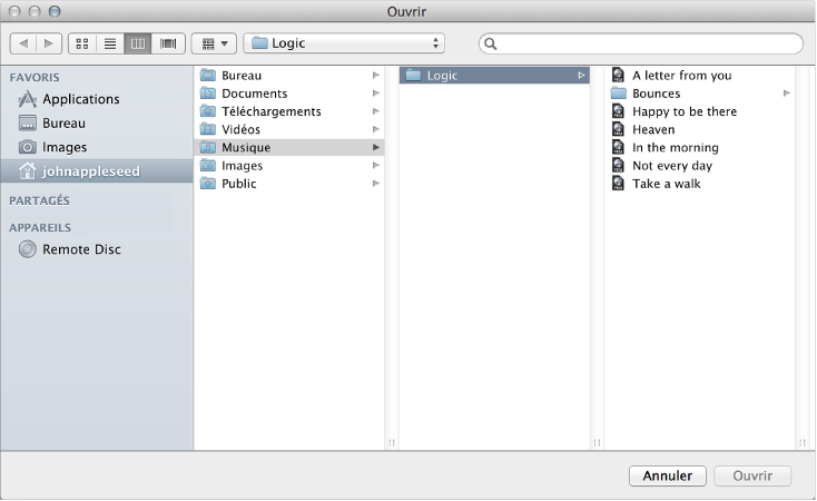 Figure. Zone de dialogue Ouvrir montrant l’accès à un projet.