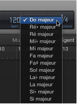 Figure. Menu local Clé dans l’écran LCD.