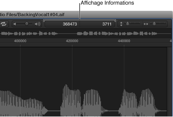 Figure. Affichage d’informations dans l’éditeur d’échantillons.