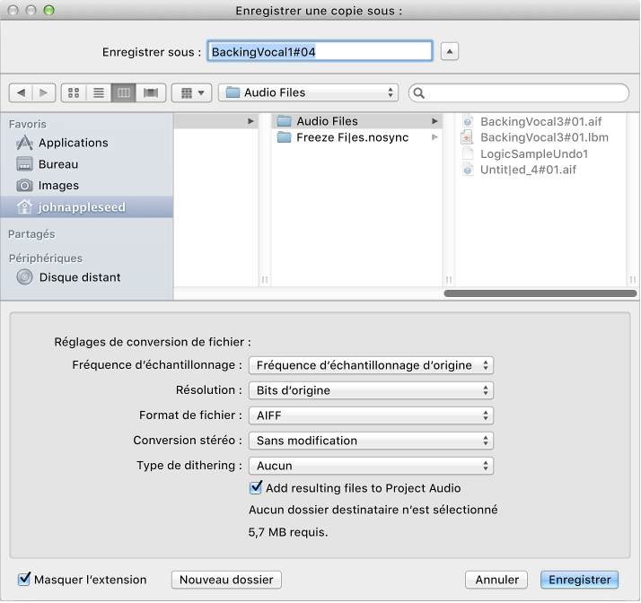 Figure. Zone de dialogue Enregistrer une copie sous.