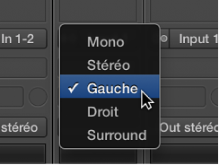 Figure. Menu local Format ouvert.