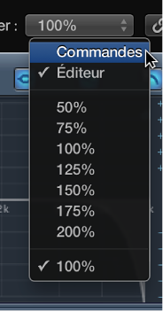 Figure. Menu local Présentation ouvert.
