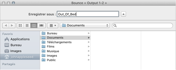 Figure. Réglages de nom de fichier et de dossier dans la fenêtre Bounce.