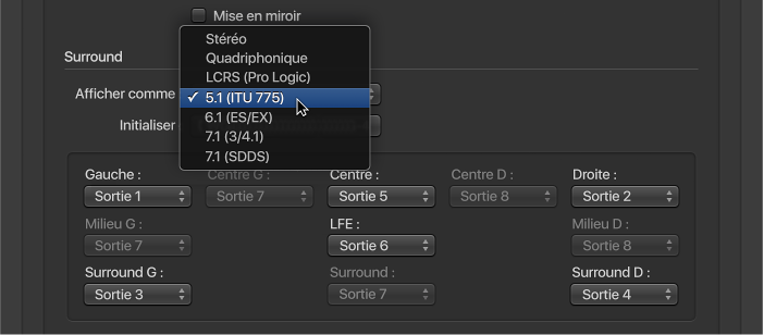 Figure. Préférences Surround.