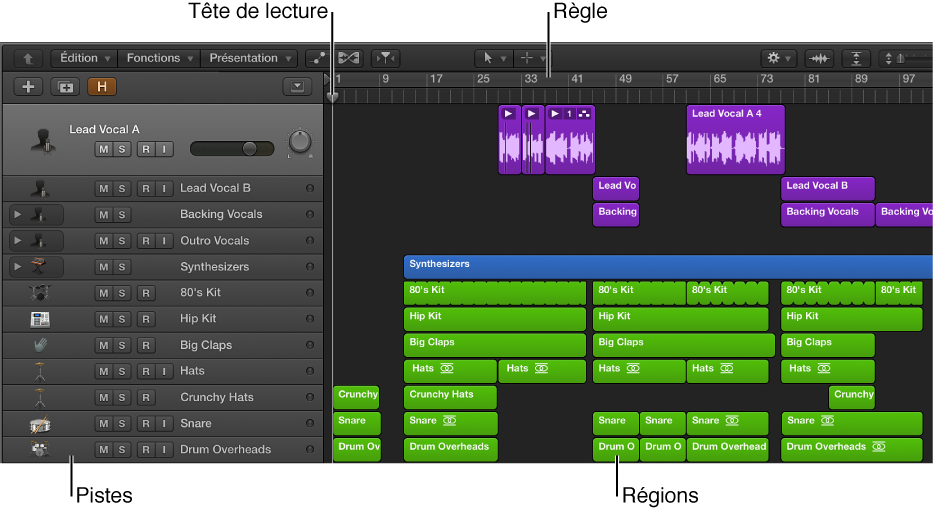 Figure. Zone Pistes montrant les pistes et régions, la tête de lecture et la règle.