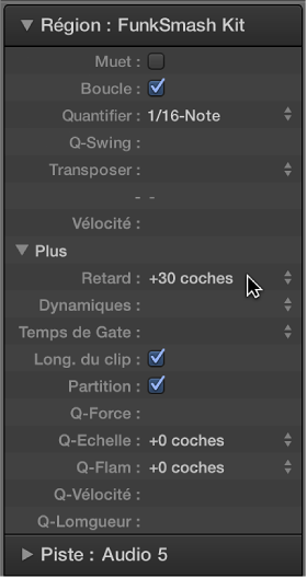 Figure. Paramètre Retard dans l’inspecteur de région.