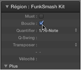 Figure. Case du paramètre Boucle dans l’inspecteur de région.