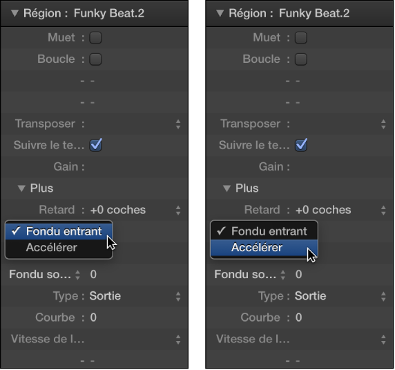 Figure. Paramètres Accélérer et Ralentir dans l’inspecteur de région.