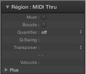 Figure. Paramètre Quantifier dans l’inspecteur de région.