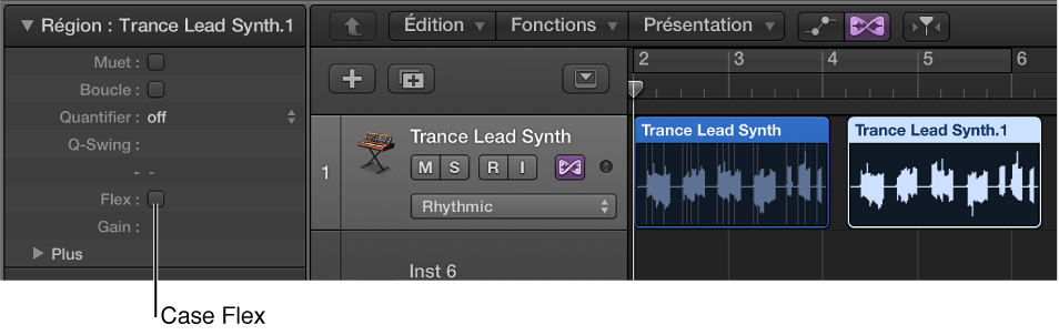 Figure. Champ Paramètre de région avec case Flex décochée pour la région sélectionnée