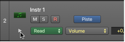 Figure. Pointeur placé sur le triangle d’affichage de la sous-piste.