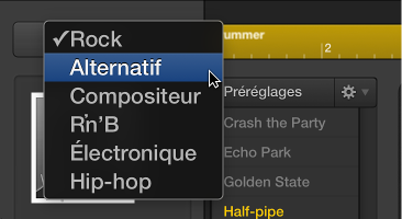 Figure. Menu local Genre avec l’option Alternatif sélectionnée.